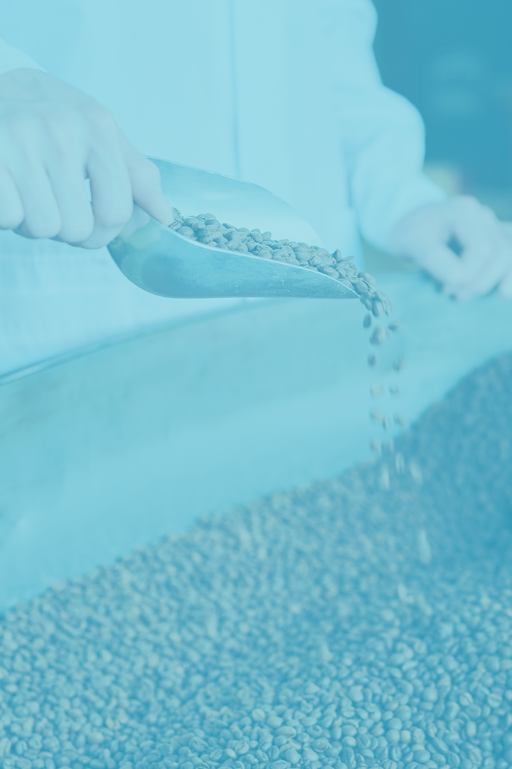 De nieuwe generatie van Giraffe Coffee over de nieuwe generatie koffie